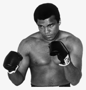 City Gym In - Mohamed Ali Con Frases