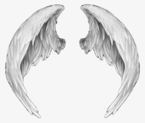 Ali D Angelo Png - Anime Angel Wings Png
