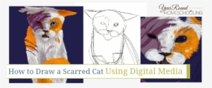 Draw Scars On Cats