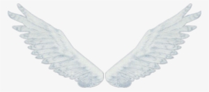 Ali D Angelo Png - Anime Angel Wings Png - 539x457 PNG Download - PNGkit