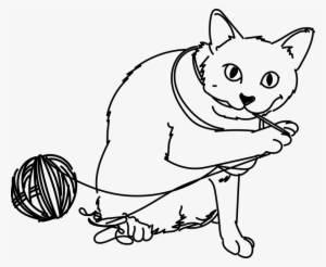 Cat-2822200 960 720 - Cat