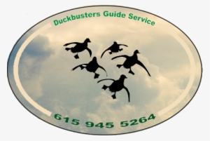 Duck Hunting Guides - Duck Hunting