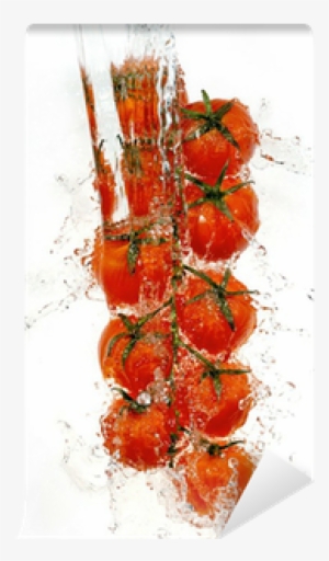 Branch Of Tomatoes In Water Splashes - Water