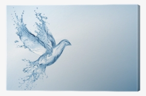 Dove Made Out Of Water Splashes Canvas Print • Pixers® - Agua Y Espiritu Santo