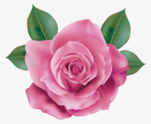 Rose Png