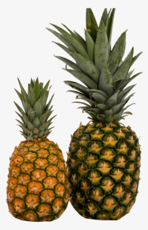 Free Png Pineapple Png Images Transparent - Nanas Png
