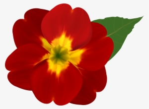And Yellow Flower Png Image Gallery Yopriceville - Red Flowers With Yellow