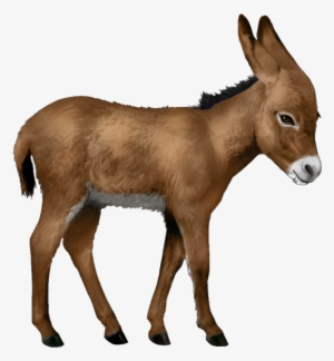 Free Png Donkey Png Images Transparent - Donkey Png