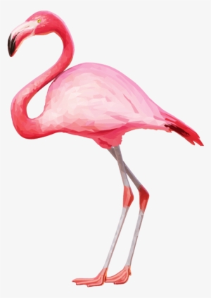 Free Png Flamingo Png Images Transparent - Flamingo Png