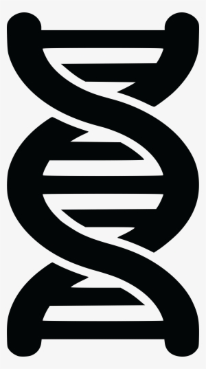 28 Collection Of Dna Clipart Transparent - Dna Clipart