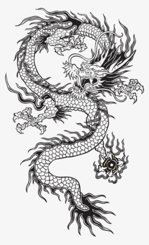 Transparent Chinese Dragon Tumblr Black And White - Transparent Chinese Dragon
