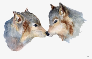 A Hopeless Romantic - Boar