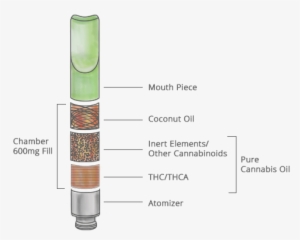 Mesmerizing Vape Pen Statistics And Facts 2017-20178 - Vaping Facts 2017