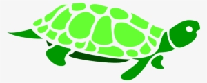 Turtle Clipart Transparent Background - Turtle With Transparent Background