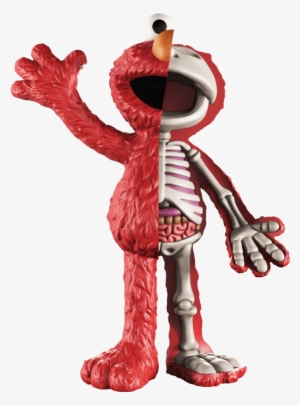 elmo xxray