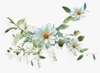 Фотки Nurcan Cüceoğlu/emeksensin - Small White Aster