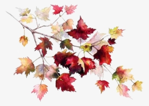 Load 10 More Imagesgrid View - Autumn