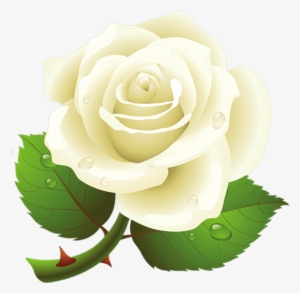 White Rose Png Image - Cute Clipart Of Rose