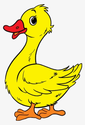 Graphic Royalty Free Pictures At Getdrawings Com Free - Duck Cartoon Png