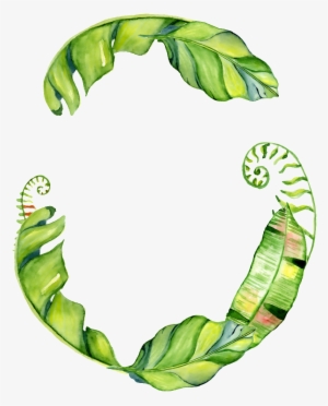 This Graphics Is Hand Painted Three Leaves Png Transparent - Leaf