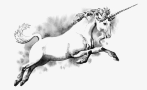 Unicorn - Unicorn Scotland