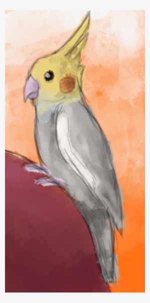 Mirabelle By Cinnamon - Drawing