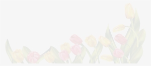 Background Coupon Spring - Spring