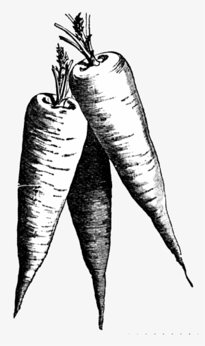 Related Cliparts - Clip Art