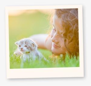 Learn More About Cats - Cat