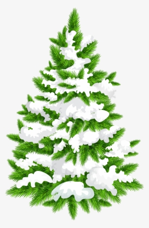 Snowy Pine Tree Png Clip Art Image - Clip Art