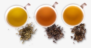 Premium Quality Tea - Tea Fermentation