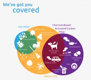 Filter Out Unwanted Airborne Particles From Your Polluted - Rabbit Air Minusa2 Room Hepa Air Purifier