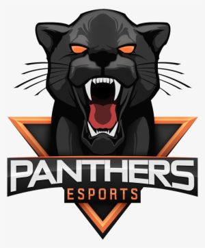 Team's Logo Panthers Esports - Panthers Esports