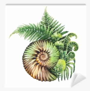 Prehistoric Watercolor Seashell And Fern Branches Wall - Fern Graphic