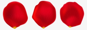 Rose Petal Transparent Png