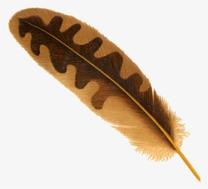 Pngpix Com Feather Png Transparent Image 1 - Feather Png