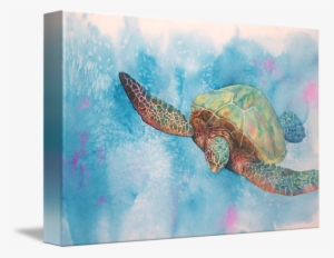 Sea Turtle 08 By Mvlc1 Sea Turtle Art, Sea Turtles,