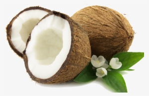 Coconut Png