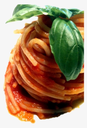 File - Spaghetti - Spaghetti
