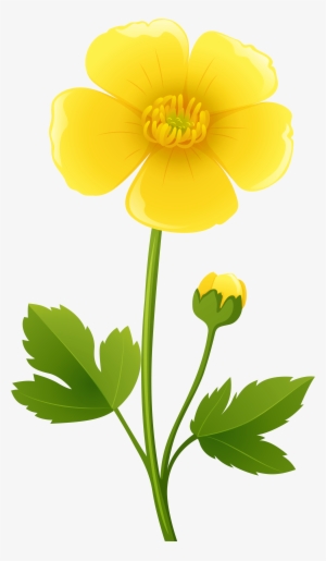 Yellow Flower Transparent Png Clip Art Image Buttercups - Buttercup Clipart