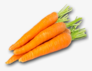 Carrot Png Pic - Object With Color Orange