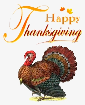 Thanksgiving-turkey - Turkey Brain