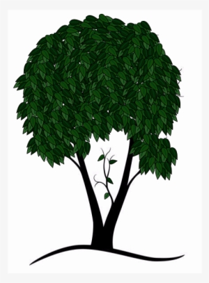 Hope Your Tree Vector Looks Great And Don't Hesitate - Oak
