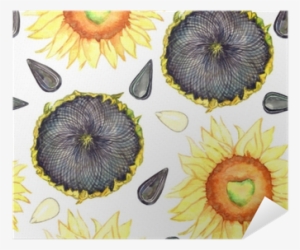 Sunflower Blooming, Ripe Head And Seeds, Seamless Pattern - Seed
