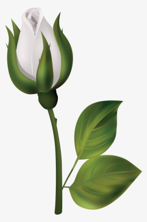 Sunflowers Watercolor Wreath Garland Clipart Flowers - Flower Bud Art