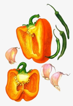 Frutas E Legumes - Drawing Vegetables On Newspaper