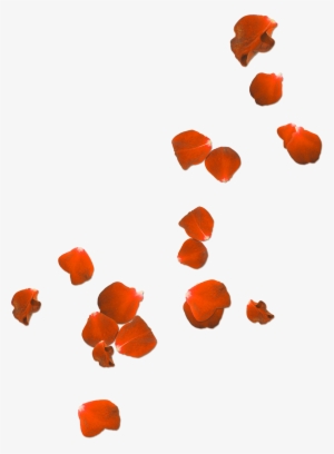 Flower Petals Clipart At Getdrawings - Poppies We Will Remember Them
