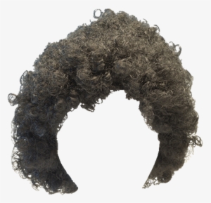 Afro Wig Png - Wig Hair Png For Man