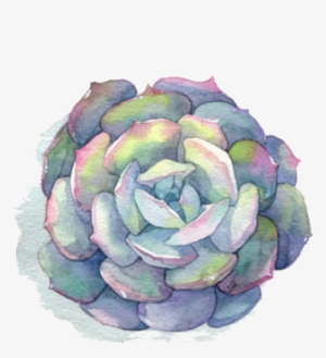 Ftestickers Watercolor Flower Succulent - Succulent Watercolor Png
