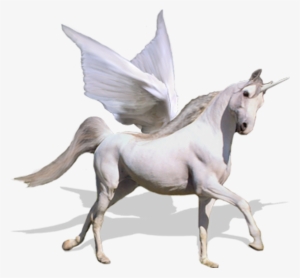 Flying Unicorn Real Png